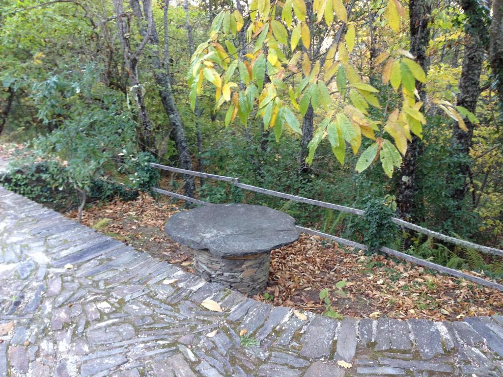 Alojamento Local De Pardieiros Ξενοδοχείο Avô Εξωτερικό φωτογραφία